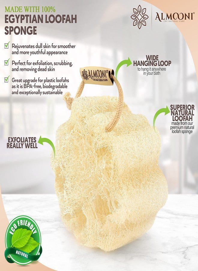 Almooni Mini Natural Loofah Sponge - Real Egyptian Shower Exfoliating Loofah - Small Loofah Scrubber for The Perfect Grip - 3 Count(1 Pack) - Image 2