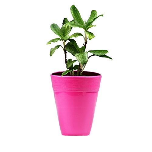 Sharpex Ceramic Style Flower Pot (Pink) - Image 1