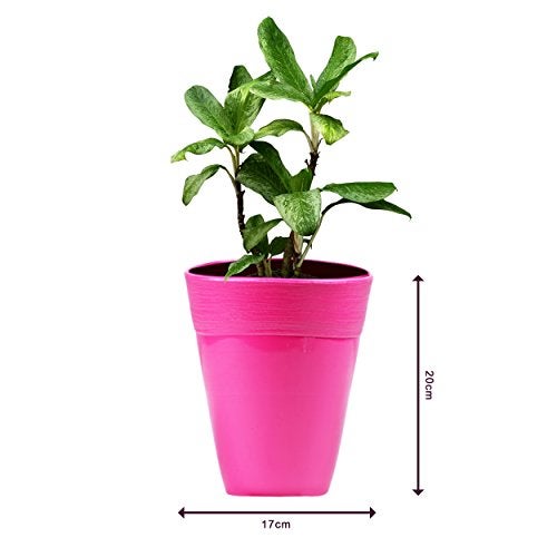 Sharpex Ceramic Style Flower Pot (Pink) - Image 2