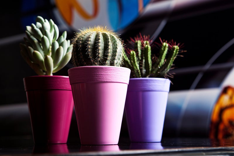 Sharpex Ceramic Style Flower Pot (Pink) - Image 4