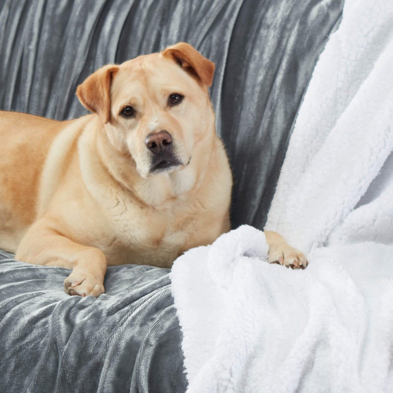 Genteele Sherpa Throw Blanket Super Soft Reversible Ultra Luxurious Plush Blanket, 50 x 60 inches, Gray/White - Image 4