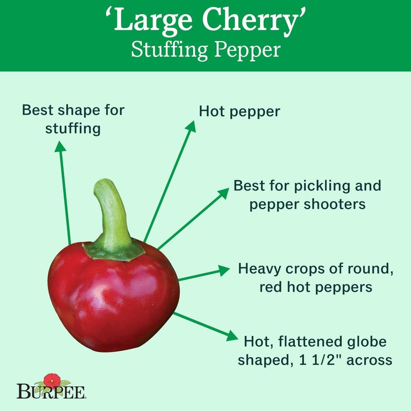 Burpee Large Cherry Hot Pepper Seeds 150 seeds - Image 2