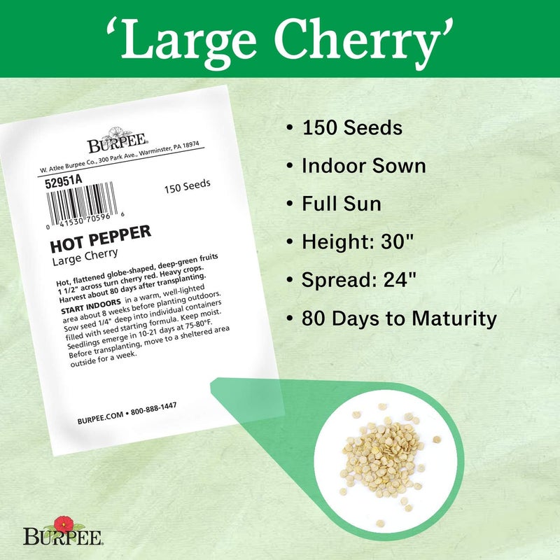 Burpee Large Cherry Hot Pepper Seeds 150 seeds - Image 3
