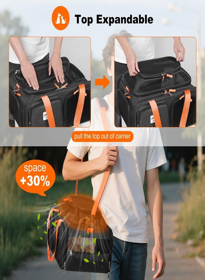 pidipiti 19x13x9 TSA Approved top Expandable pet Carrier for Small Dog Puppy cat up to 10 lbs Weight and 18'' Length, for Southwest Spirit Lufthansa Airlines,Air Canada and Amtrak Train - Image 4
