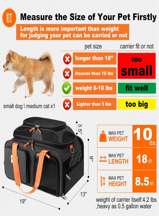 pidipiti 19x13x9 TSA Approved top Expandable pet Carrier for Small Dog Puppy cat up to 10 lbs Weight and 18'' Length, for Southwest Spirit Lufthansa Airlines,Air Canada and Amtrak Train - Image 2
