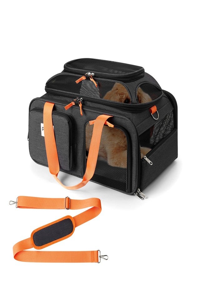 pidipiti 19x13x9 TSA Approved top Expandable pet Carrier for Small Dog Puppy cat up to 10 lbs Weight and 18'' Length, for Southwest Spirit Lufthansa Airlines,Air Canada and Amtrak Train - Image 1