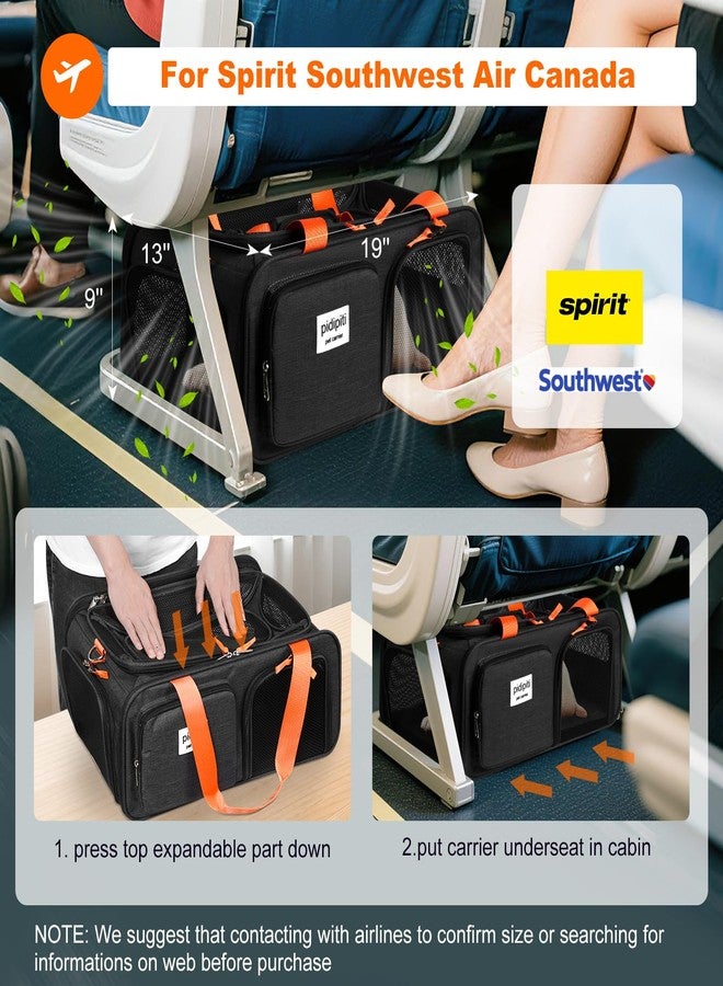 pidipiti 19x13x9 TSA Approved top Expandable pet Carrier for Small Dog Puppy cat up to 10 lbs Weight and 18'' Length, for Southwest Spirit Lufthansa Airlines,Air Canada and Amtrak Train - Image 3