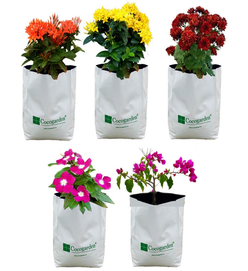 cocogarden UV Treated Poly Grow Bags for Terrace Gardening (20 x 20 x 40) cms (White, Pack of 5) | Home Gardening Plant Container Bag for Leafy Vegetable and Flower Plants - Image 2