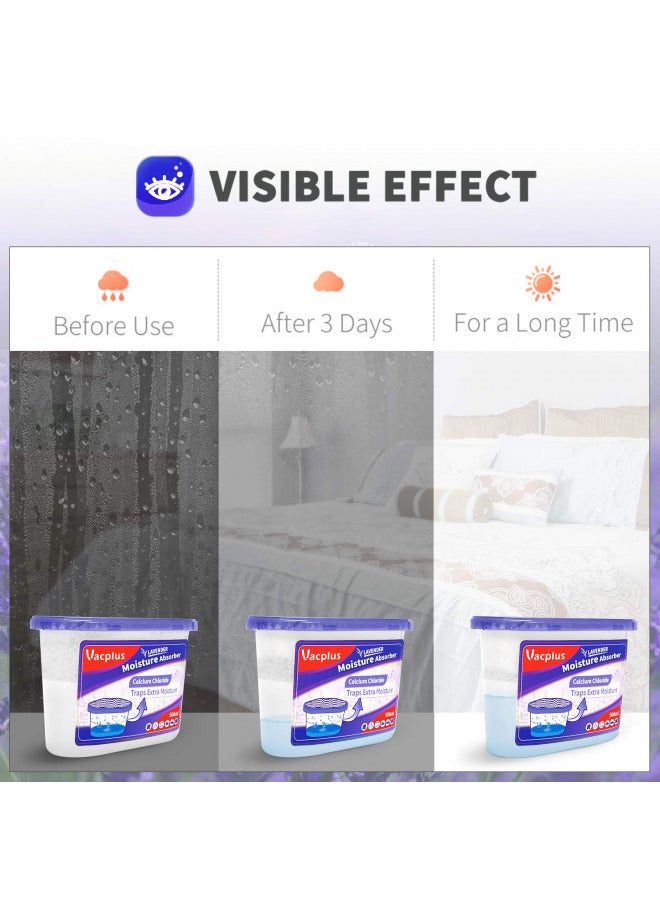 Vacplus - Vacplus Moisture Absorbers (6 pack), 10.5Oz Portable Humidity Absorber & Dehumidifier Boxes for Closet Effectively Trap Extra Moisture, Odor Eliminator with Lavender Fragrance for Fresher Air (Lavender) - Image 1