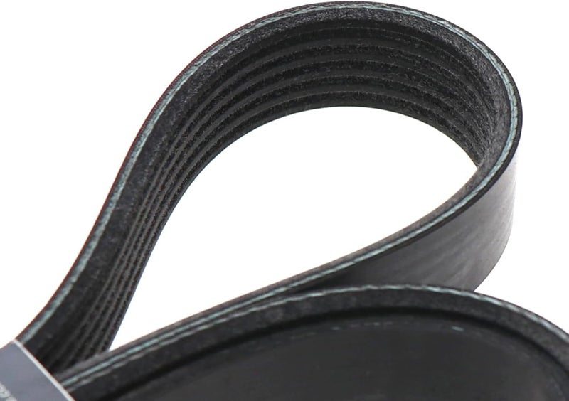 Dayco 5060865 Serpentine Belt - Image 4