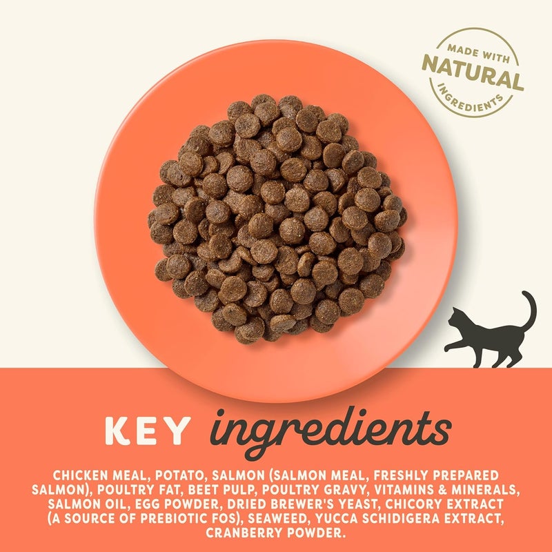 Applaws Cat Dry Cat Food Chicken & Salmon Adult - 2 Kg - Image 3