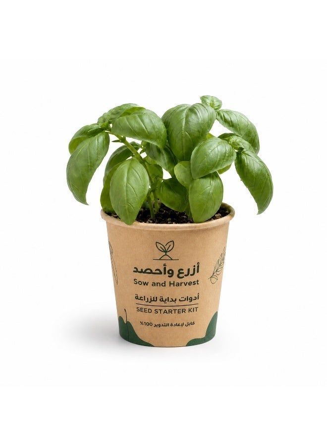 بذرات 6 علب من ازرع واحصد – الريحان الايطالي– أدوات زراعة في كوب مع تربة وبذور – للزراعة المنزلية، مناسبة للتوزيع في المدارس والشركات – مصنوعة من مواد معاد تدويرها - Image 1