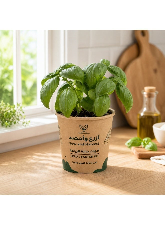 بذرات 6 علب من ازرع واحصد – الريحان الايطالي– أدوات زراعة في كوب مع تربة وبذور – للزراعة المنزلية، مناسبة للتوزيع في المدارس والشركات – مصنوعة من مواد معاد تدويرها - Image 2