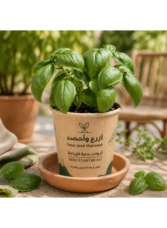 بذرات 6 علب من ازرع واحصد – الريحان الايطالي– أدوات زراعة في كوب مع تربة وبذور – للزراعة المنزلية، مناسبة للتوزيع في المدارس والشركات – مصنوعة من مواد معاد تدويرها - Image 3