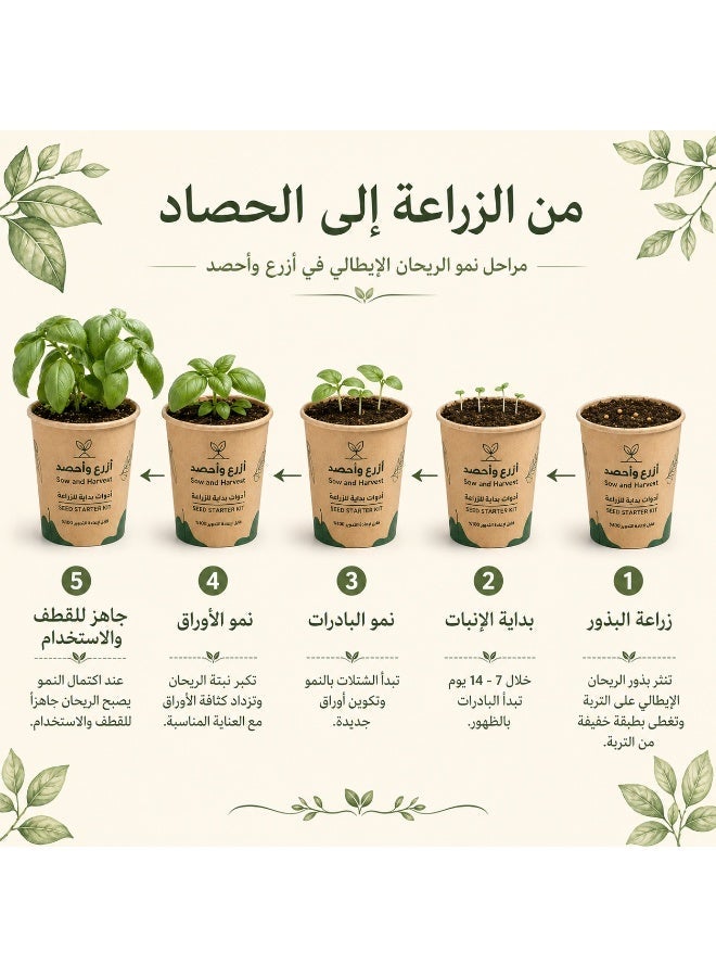 بذرات 6 علب من ازرع واحصد – الريحان الايطالي– أدوات زراعة في كوب مع تربة وبذور – للزراعة المنزلية، مناسبة للتوزيع في المدارس والشركات – مصنوعة من مواد معاد تدويرها - Image 4