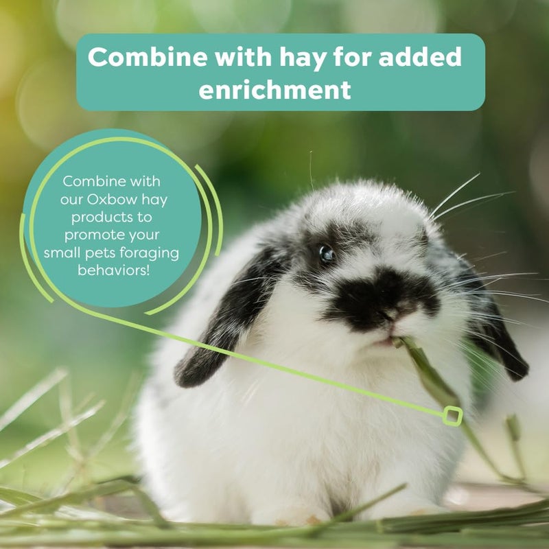 Oxbow Hay Toppers Garden Blend, Bunny Treats, Foraging Enrichment for Rabbits, Chinchillas, Guinea Pigs, and Other Small Herbivores, Timothy Hay Topper, Premium Rabbit Food Additive, 2oz - Image 3