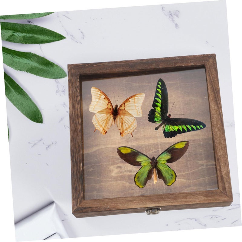 Butterfly Collection Box Wooden Shadow Box Frame Display Case For Pressed Dried Flowers - Image 4