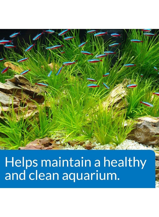 API Api Aquarium Start-Up Pack, Multicolor - Image 3