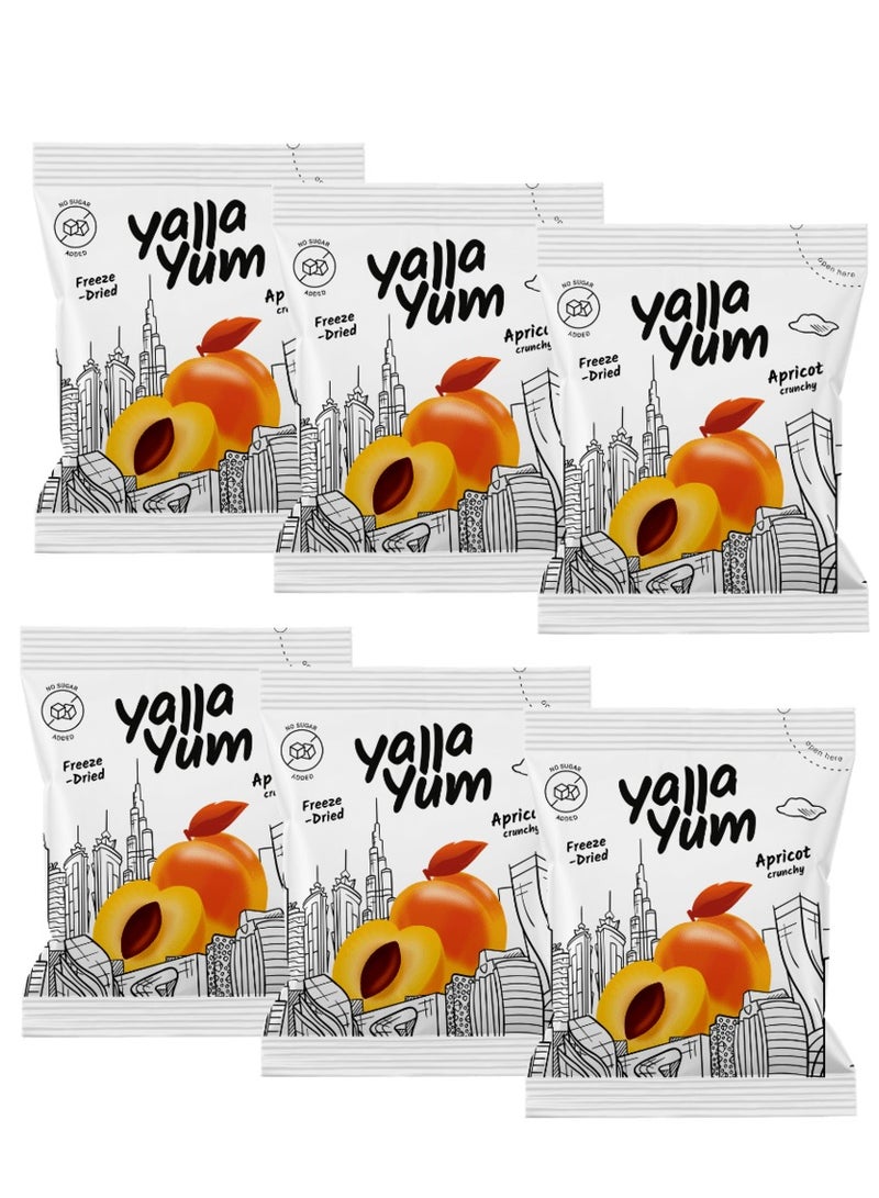 YallaYum Freeze-Dried Apricot, 6 Packs of 15g | 100% Fruit, Non-GMO, No Added Sugar, Gluten-Free,No Additives Added, Vegan, Made From 828g Fresh Apricot | Healthy Snack for On-the-Go - Image 1