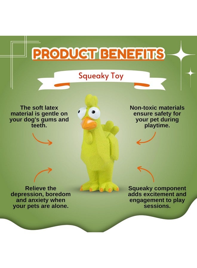 Dog Squeaky Latex Toy - (24Cm) Green Googly Rooster Hen Chicken Squawking Toy For Puppies, Small And Medium Dogs | Natural Rubber, Soft, Animal Design, Fetch & Chew Safe Pet Toy - Image 5