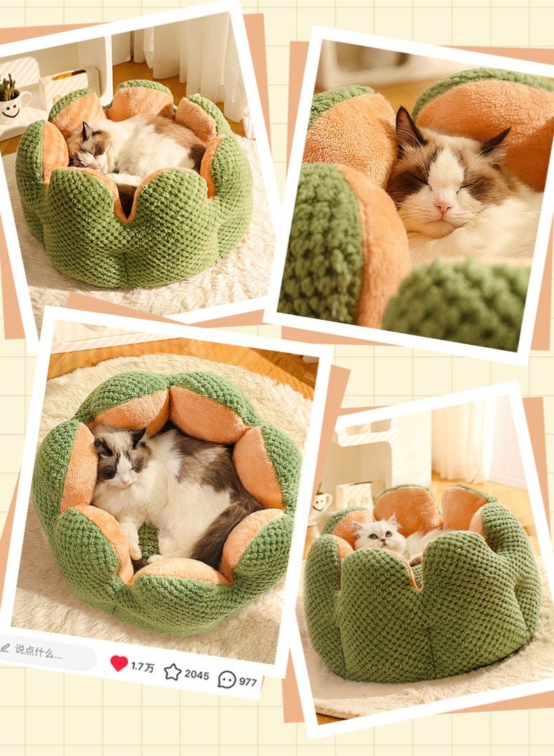 كاكتوس بتلات القط سرير ناعم و صديق للجلد مكافحة الساكنة الشتاء دافئ شبه مغلق القط عش - Image 5