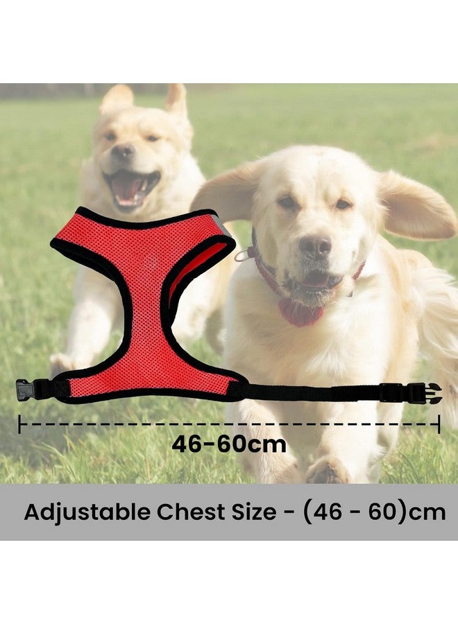 Homestic Reflective Dog Harness With Adjustable Leash|Breathable Polyester Mesh Fabric With Top Carry Handle|Large Size|Hat-818|Comfortable No-Pull Grip|Quick Release Buckles|Stylish Design|Red - Image 3