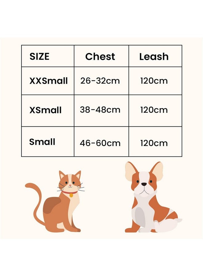 Homestic Reflective Dog Harness With Adjustable Leash|Breathable Polyester Mesh Fabric With Top Carry Handle|Large Size|Hat-818|Comfortable No-Pull Grip|Quick Release Buckles|Stylish Design|Red - Image 2