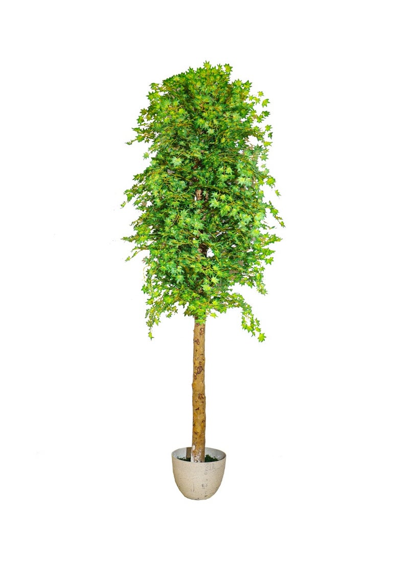 YATAI Artificial canada Leaf Plant About 2.3 Meters – Artificial canada Leaf Tree With Plastic Pot – Plants For Home Indoor Artificial Tree Outdoor Fake Plants For Balcony – Artificial Plants Outdoor - pzsku/ZAA4C6548C30D6ECBBF28Z/45/_/1704537229/3f671edb-a287-415b-be4d-94c37f572eba