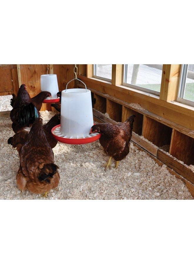 Bird Feeder for Chicken / Hen and other similar Birds, Portable Bird Feeder, Poultry Hanging Feeder, Bird Supplies size: 1kg . 3kg. 6kg. 12kg - Image 3