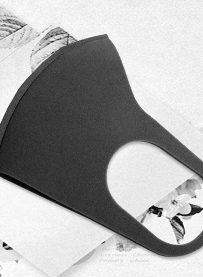 NIBEMINENT Anti-Fog Pitta Mask - Image 2