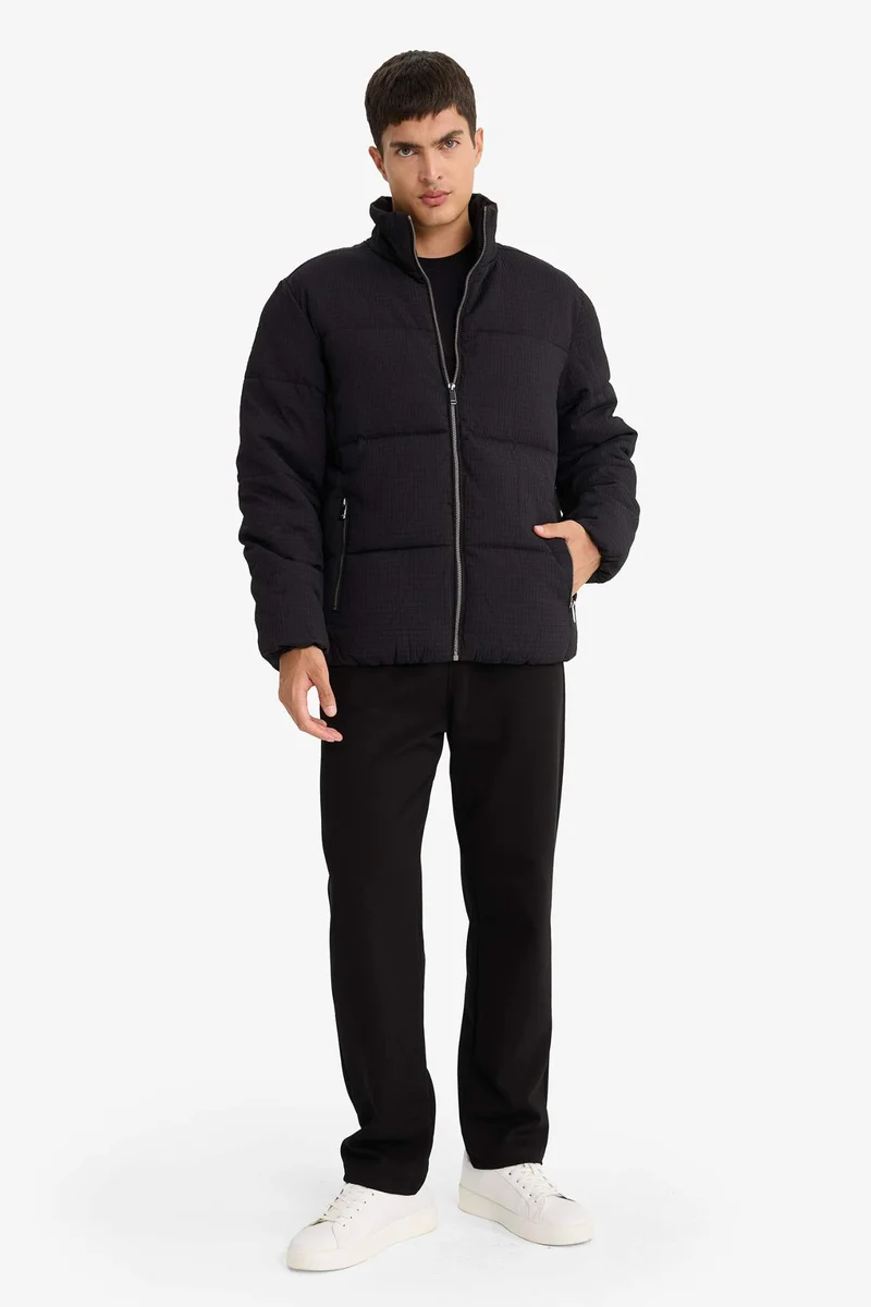 DeFacto Regular Fit Stand Collar Lined Winter Puffer Jacket