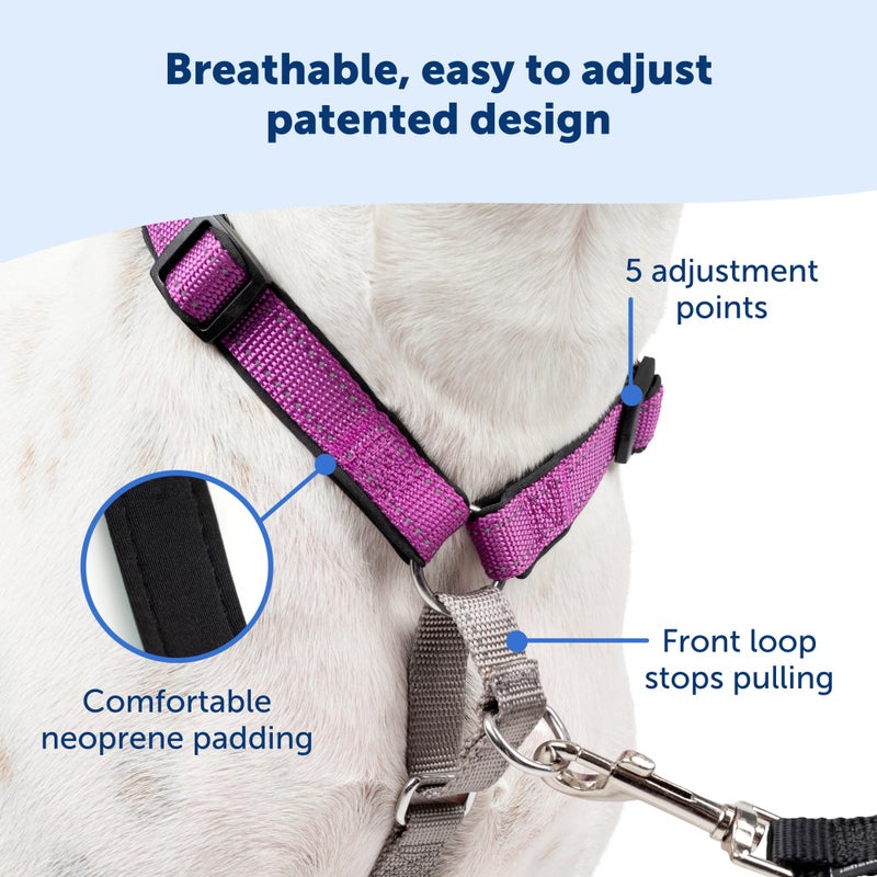 PetSafe 3 in 1 Dog Harness - No Pull Solution for Dogs - Reflective Dog Harness - Front D-Ring Clip Helps Stop Pulling - Comfortable Padded Straps - Top Handle Enhances Control - Plum - Extra Small - Image 4