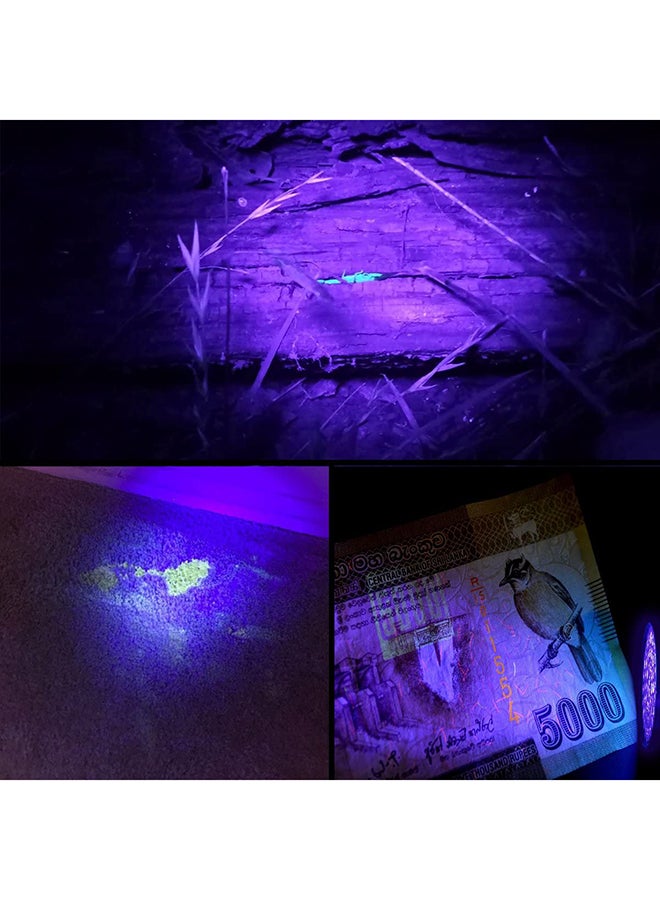 UV LED Flashlight Black - Image 4