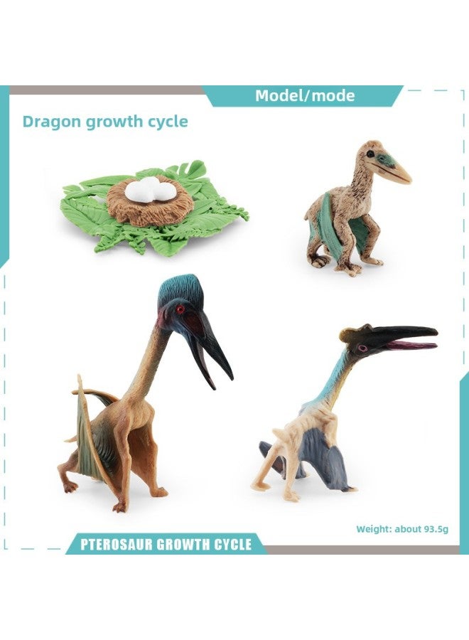 Realistic Small Animal Model Toys Growth Life Cycle Frogs Turtles Chicks Montessori Nursery Teaching Tools-Color:2456 Pterosaur Cycle 1 93.5g - Image 1