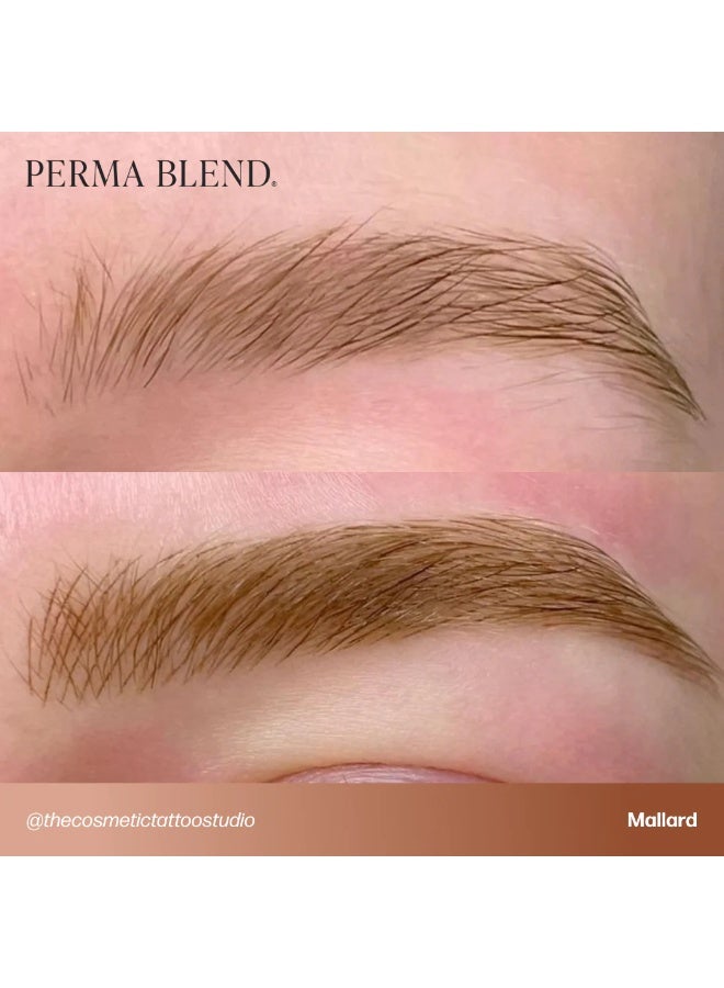 Perma Blend Eyebrow Pigment – Perma Blend Mallard 15ml | Professional Permanent Makeup Brow Tattoo Ink for Microblading, Ombre & Powder Brows | Vegan, High Retention, True-to-Tone Color | SKU: PBMD1/2 - Image 2