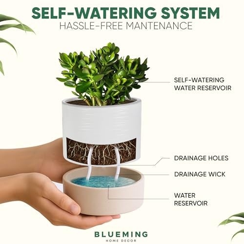 Blueming Home Decor Ceramic Self Watering Plant Pots – 6 Inch Planter for Indoor House Plants with Drainage & Water Storage for Succulents (White & Beige, 7" Tall) - Image 5