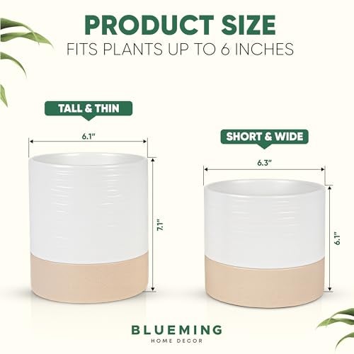 Blueming Home Decor Ceramic Self Watering Plant Pots – 6 Inch Planter for Indoor House Plants with Drainage & Water Storage for Succulents (White & Beige, 7" Tall) - Image 2