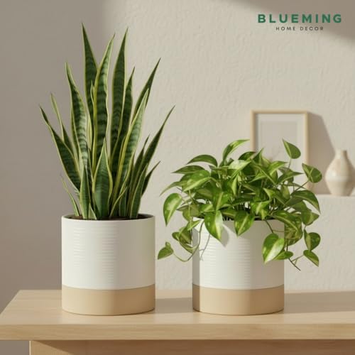 Blueming Home Decor Ceramic Self Watering Plant Pots – 6 Inch Planter for Indoor House Plants with Drainage & Water Storage for Succulents (White & Beige, 7" Tall) - Image 3