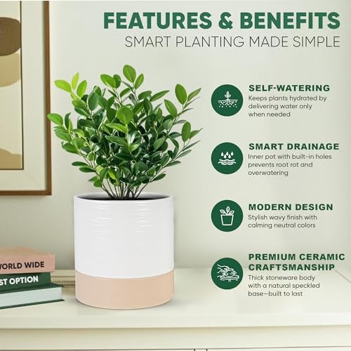 Blueming Home Decor Ceramic Self Watering Plant Pots – 6 Inch Planter for Indoor House Plants with Drainage & Water Storage for Succulents (White & Beige, 7" Tall) - Image 4