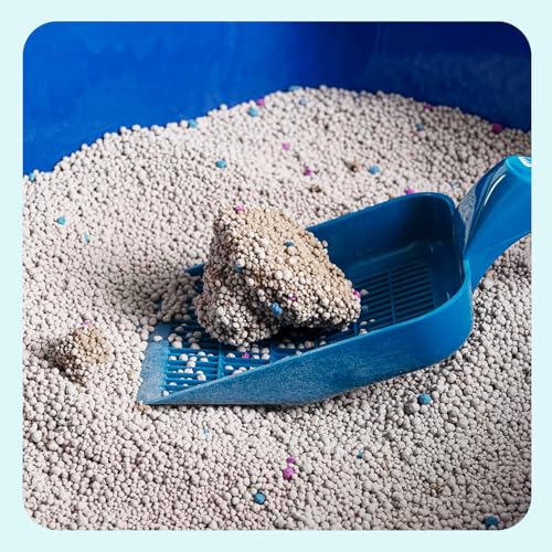 PUPPEE Premium 5 Kg Lavender Scented Cat Litter | Natural Bentonite Clay | Odour Control, Dust Free Scoopable, Instant Clumping, 100% Chemical Free - Image 3