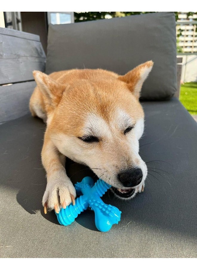 Nylabone Nylabon Power Chew Comfort Hold X Bone Chew Toy For Dogs, Beef Flavor, Small  Up To 25 Lbs. (1 Count)  - Image 2