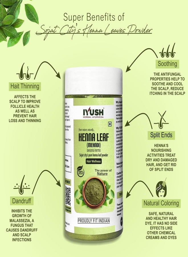 IYUSH Herbal Ayurveda Henna Powder for Hair - 250gm | Heena Mehandi for Hair | Mehandi Powder for Hair | Mehendi Powder Natural | Heena Mehandi for Hair Organic | Henna Powder Organic | Hair Colour | - Image 3