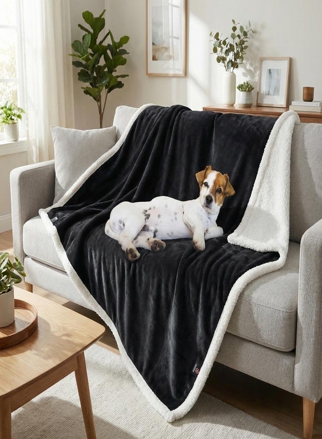 Kritter Planet Dog Blankets for Large Dogs, Soft Fluffy Fleece Pet Blankets for Couch, Sofa, Dog Beds, Car Seats, Creat, Washable, 50x60 inches, Black - Image 1