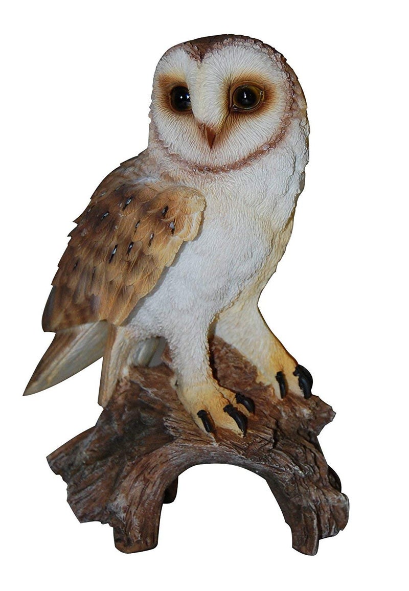 Barn Owl Real Life Ornament by Vivid Arts