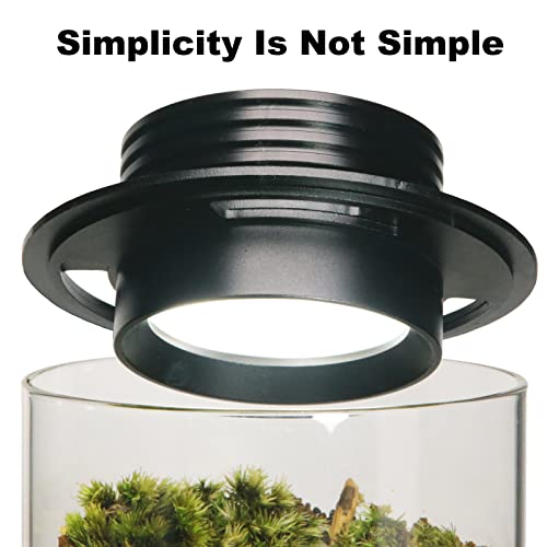 AREPK Desktop Glass Plant Terrarium with Grow Light (H:7.8" D:4"), for Succulent, Moss, Miniature Gardening Landscape, Betta Fish Tank, Office Home Decoration, Plant Lovers Gifts - Image 2