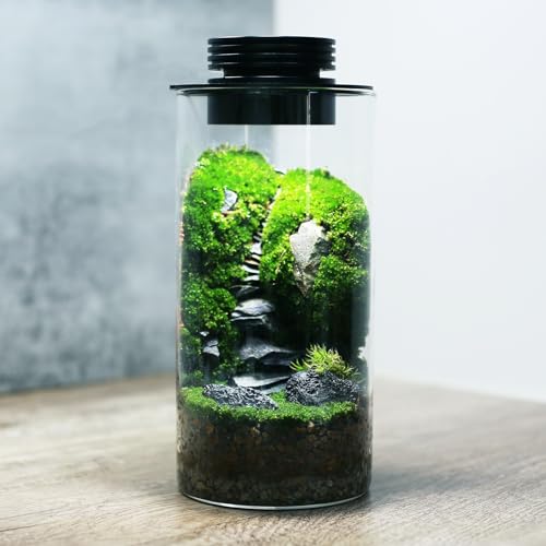 AREPK Desktop Glass Plant Terrarium with Grow Light (H:7.8" D:4"), for Succulent, Moss, Miniature Gardening Landscape, Betta Fish Tank, Office Home Decoration, Plant Lovers Gifts - Image 1