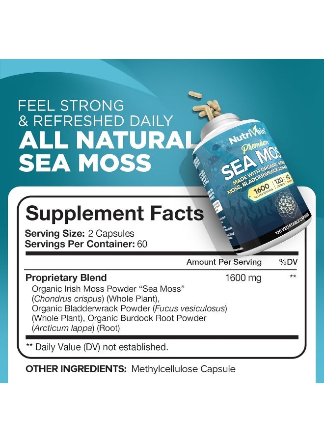 Nutrivein Organic Sea Moss 1600mg Plus Bladderwrack & Burdock - 120 Capsules - Image 2