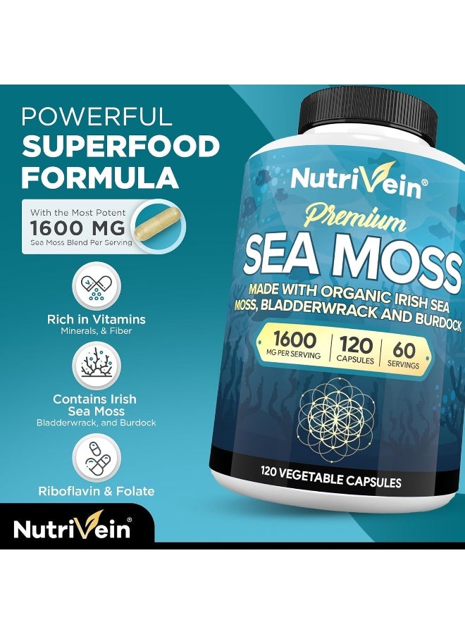 Nutrivein Organic Sea Moss 1600mg Plus Bladderwrack & Burdock - 120 Capsules - Image 3