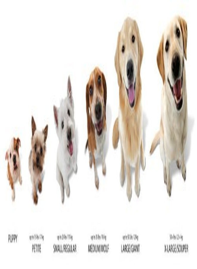 Nylabone (3 Pack) Nylabone Dura Chew Bacon Flavored Bone - Size Regular - Image 2