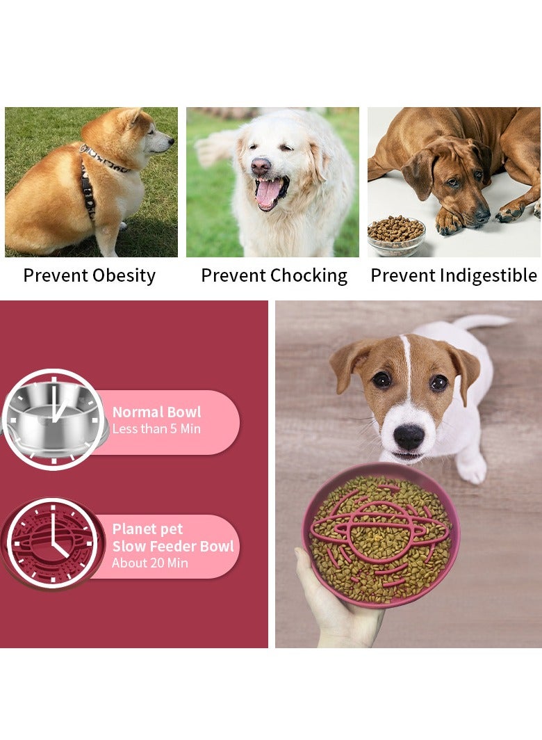 general Slow Feeding Bowl for Dogs Silicone Pet Bowl Anti-Choking Slow Feeding Interactive Bowl Non-Slip, Easy-Clean Food Bowl for Small to Medium Dogs - Image 3